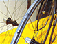 Edge Award - Reynolds Composites LLC