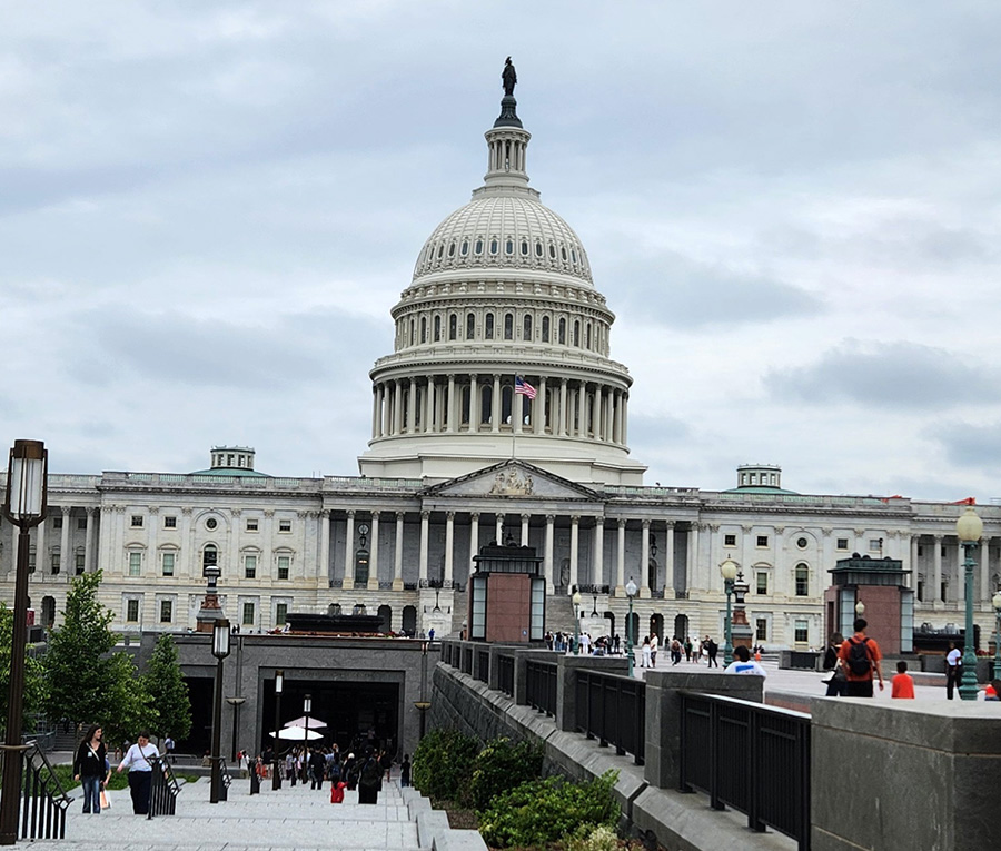Taxes, Talent, and Tariffs