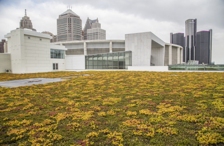 Cobo Center Living Green Roof
